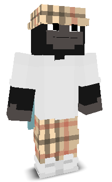 EzLilC's skin