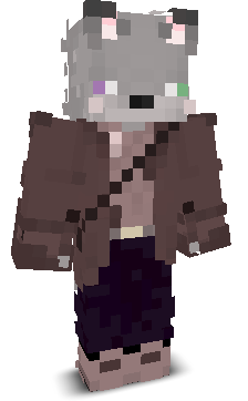 TheVideoGamer565's skin