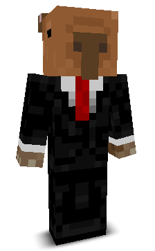 Kebab_Mistrz123's skin