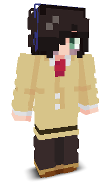 22222SSA's skin