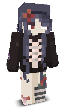 naksu_gaming's skin