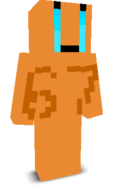 elbigp's skin