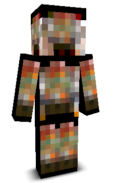 sfhs's skin