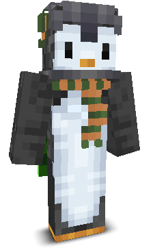 so4rzy's skin