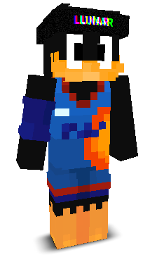 vhqb's skin