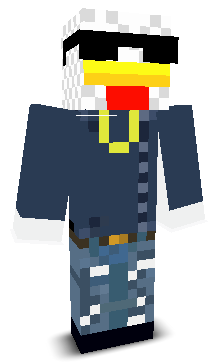 Namish1sk's skin