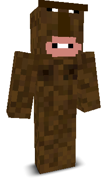 Eerial's skin