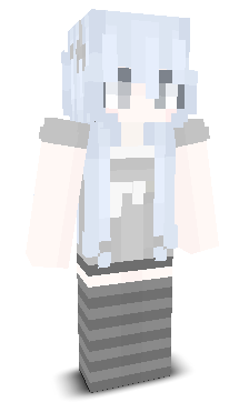 accessiblee's skin