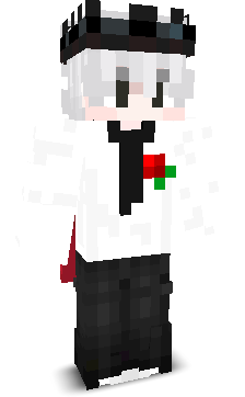 veyrongaming's skin