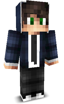 VinKiraTW's skin