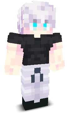 SebiPlayz8's skin