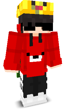 Cybugged's skin