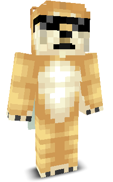 _Mr___'s skin