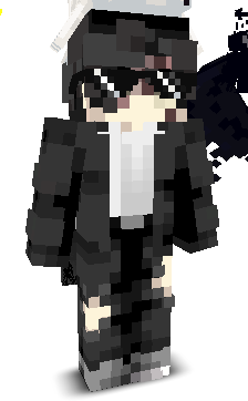 1wp's skin
