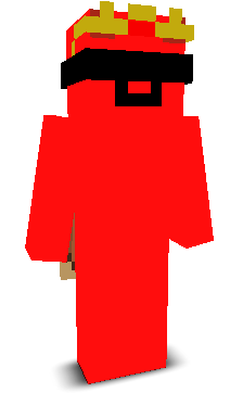 Wizard8661's skin