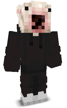 NottPenguinMC's skin