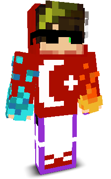 GamerBeyniMC's skin