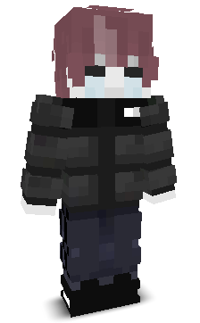 swqn_'s skin