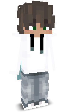 NSGSlikk's skin