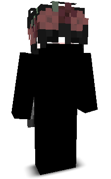 Adamxkr_UwU's skin
