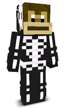 N1tLock's skin