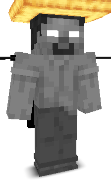 bestbuy's skin