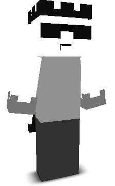 NAME_NPC's skin