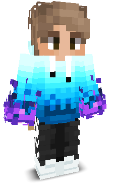 HighPingerz's skin
