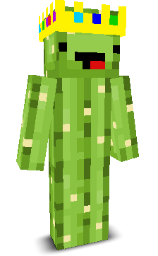 PixelStorm_yt's skin