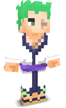 69_ZORO's skin