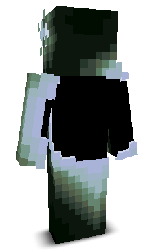 veryhightec's skin