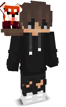 Packet1337's skin