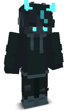 WinnerPov_'s skin