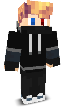 ZeeTool's skin