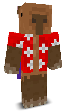 xViq's skin