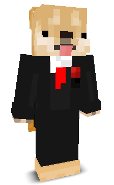 Dizzdogi's skin