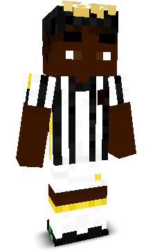 Enderman8822's skin