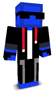 HolowKnight's skin