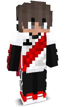 zzdt's skin
