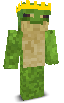 FroGG_X's skin