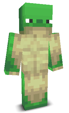 TurtleKidHDYT's skin
