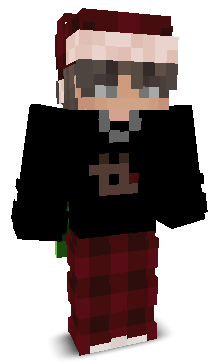 WallofSteel_'s skin