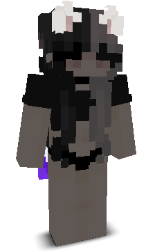 x9dx's skin