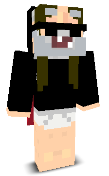 HACKERNOOBPRO's skin