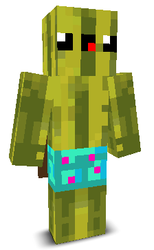 Noahbgamer's skin