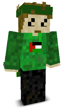 b0rd3r's skin