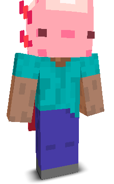 ToryLanes's skin