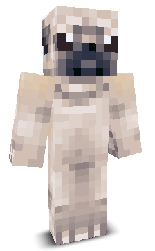 LakshaYT_'s skin