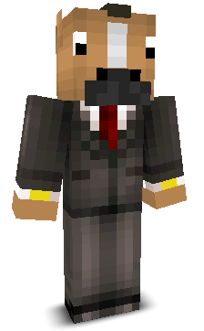 Charge2443's skin