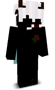 AryW__'s skin
